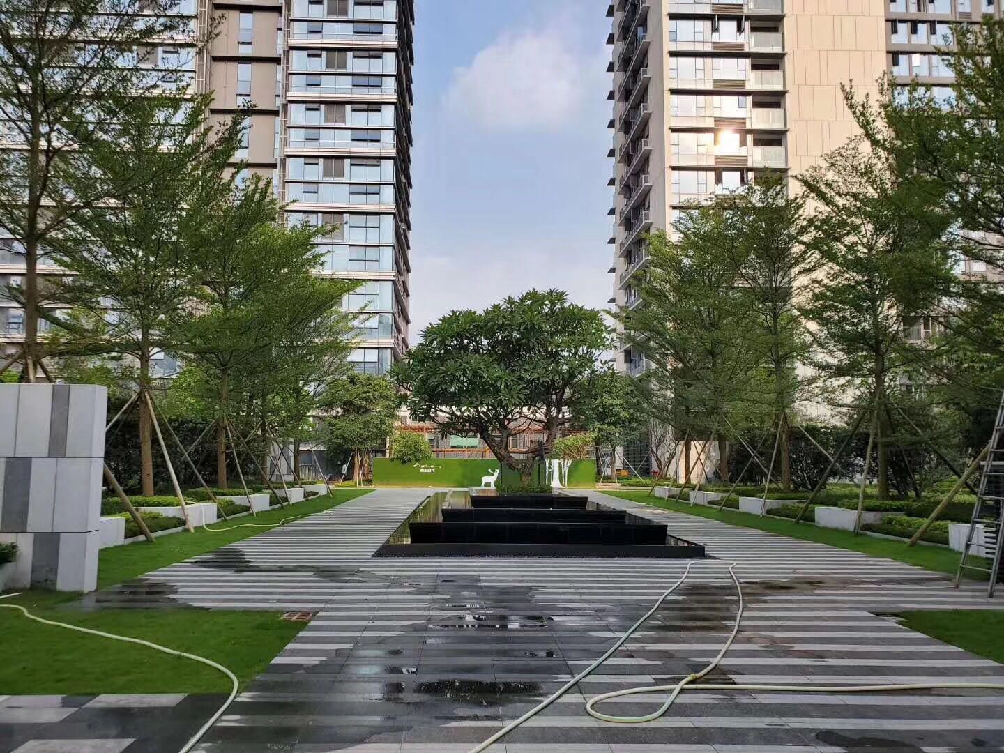 1749610905461694.jpg a65a9aec06e3a4351edb3aab5ff3fe10.jpg