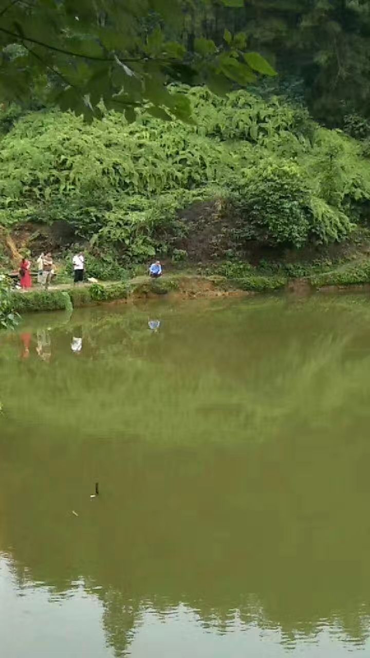 他們在業余時間到農村去釣魚和種菜