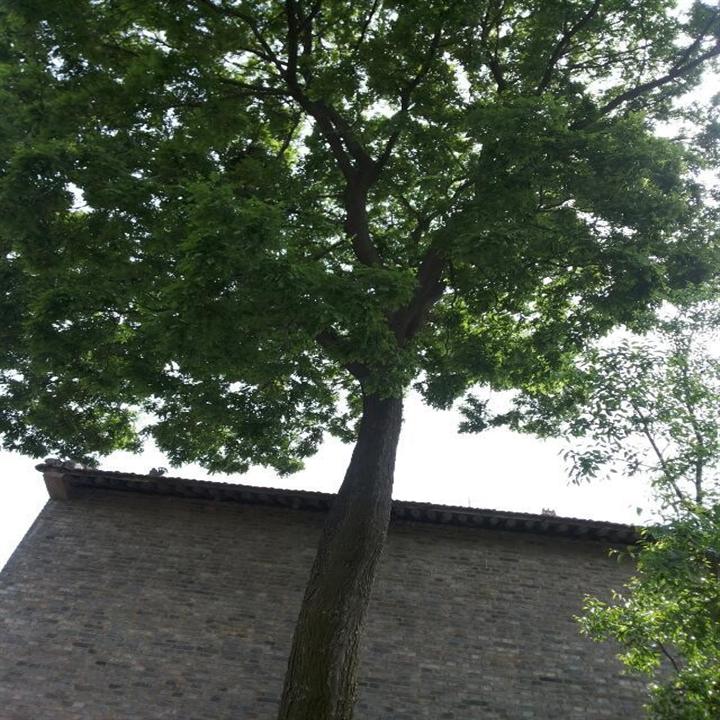 新機(jī)場回遷小區(qū)空港新苑