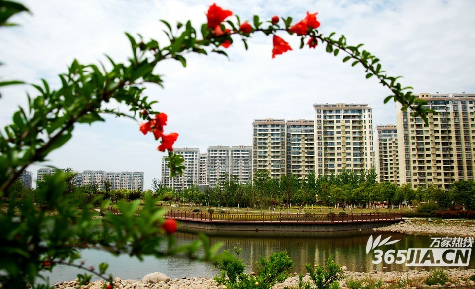 望湖城這幾個苑全是省直單位的集資房