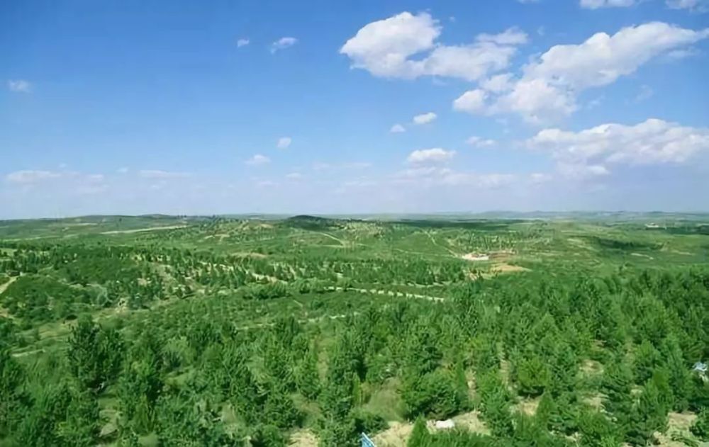 時任浙江省委書記的習近平同志來到余村