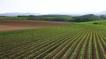 對于房屋沒有正規手續的居民表示無法接受