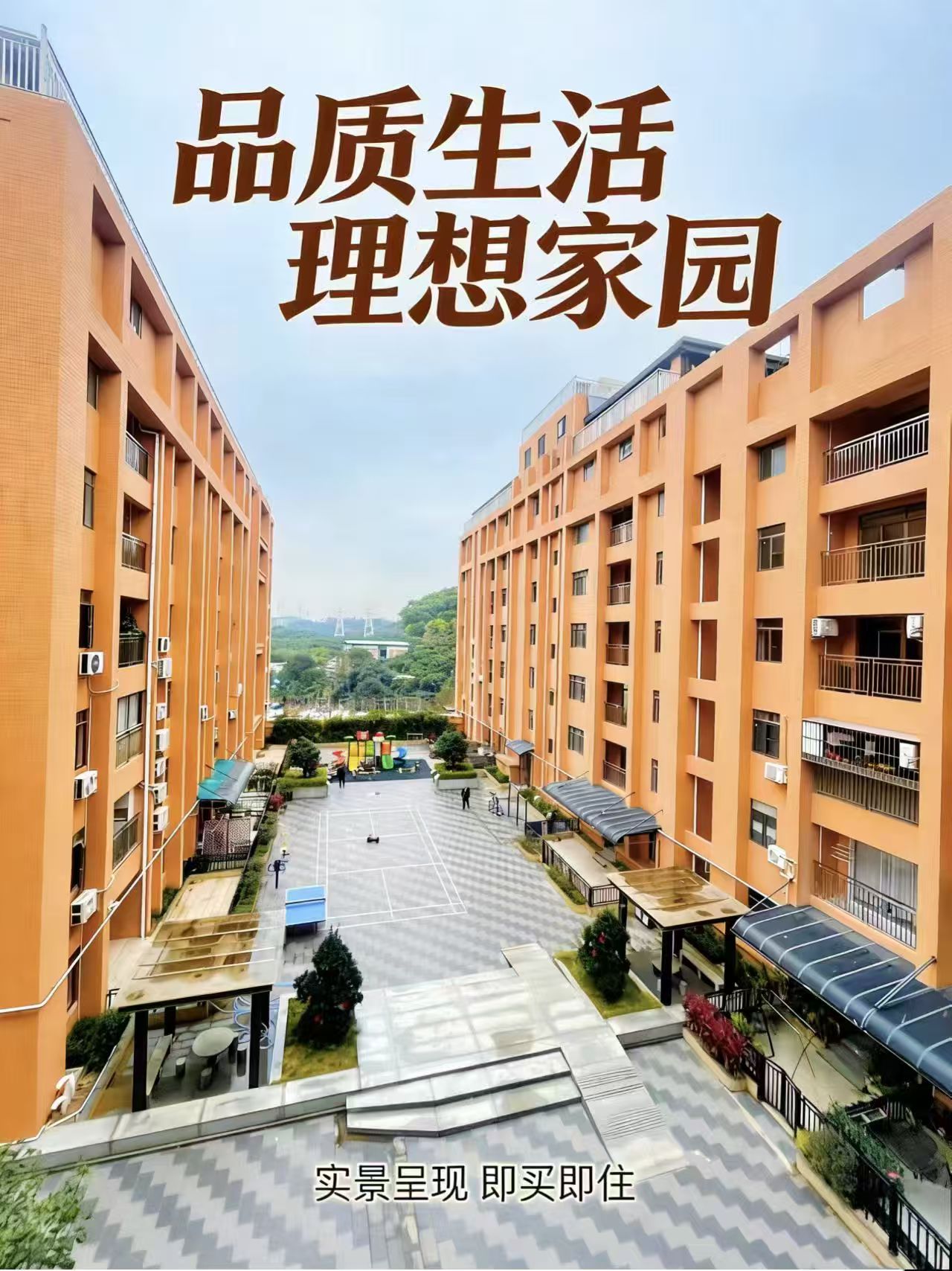 1773110724483297.jpg 1773110724483297.jpg